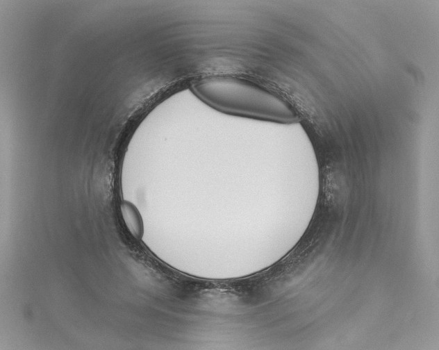 X0000114080544200911161018