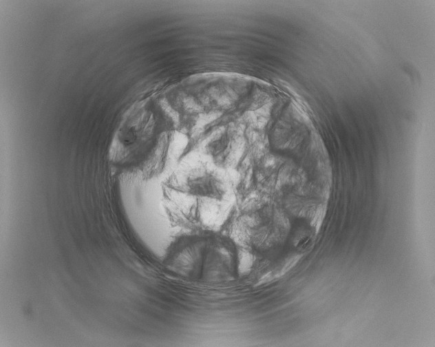 X0000114080549200911161018