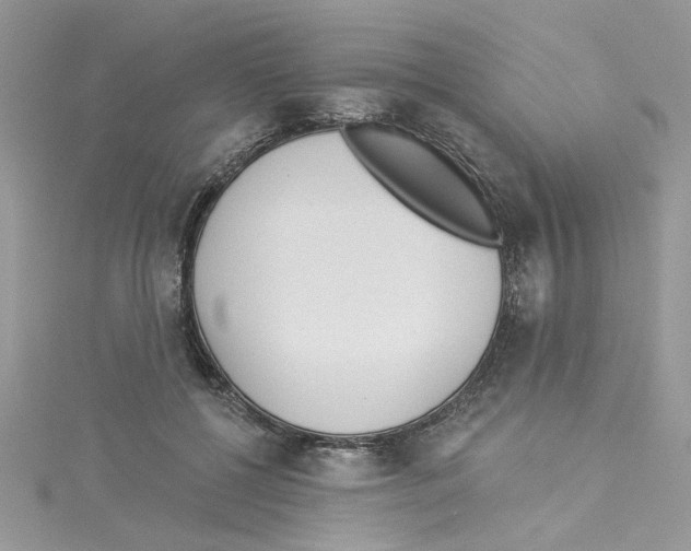 X0000114080552200911161018