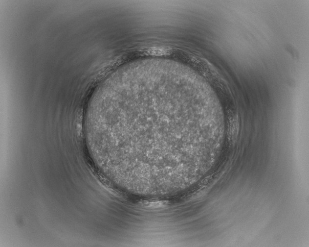 X0000114080553200911161018