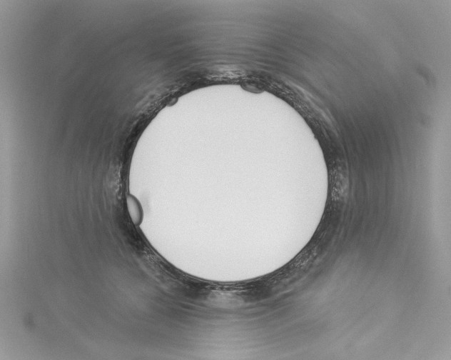 X0000114080560200911161018