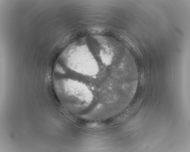 X0000114080561200911161018