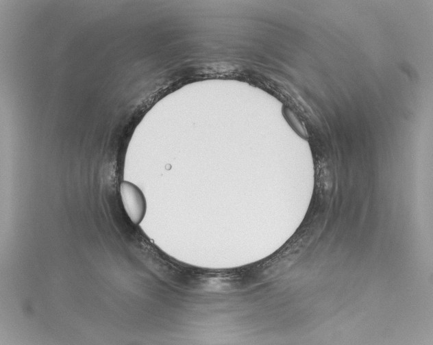 X0000114080564200911161018