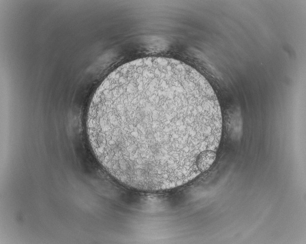 X0000114080565200911161018