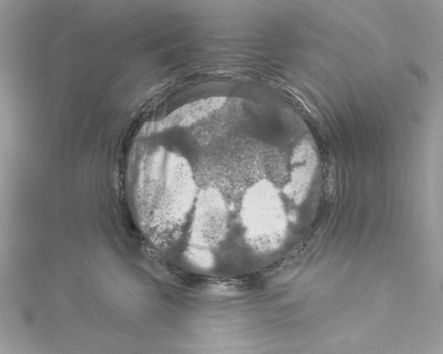 X0000114080569200911161018