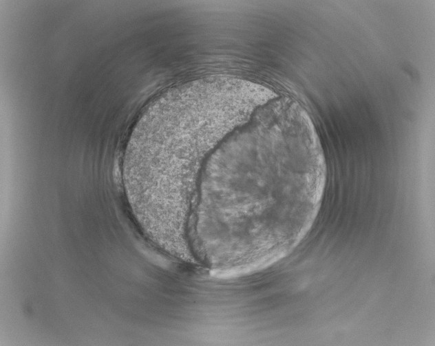 X0000114080573200911161018