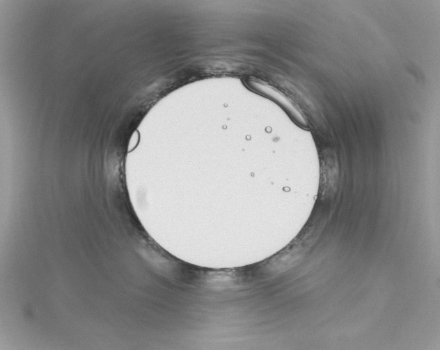 X0000114080574200911161018