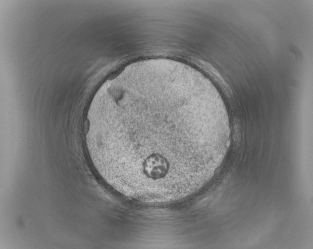 X0000114080577200911161018