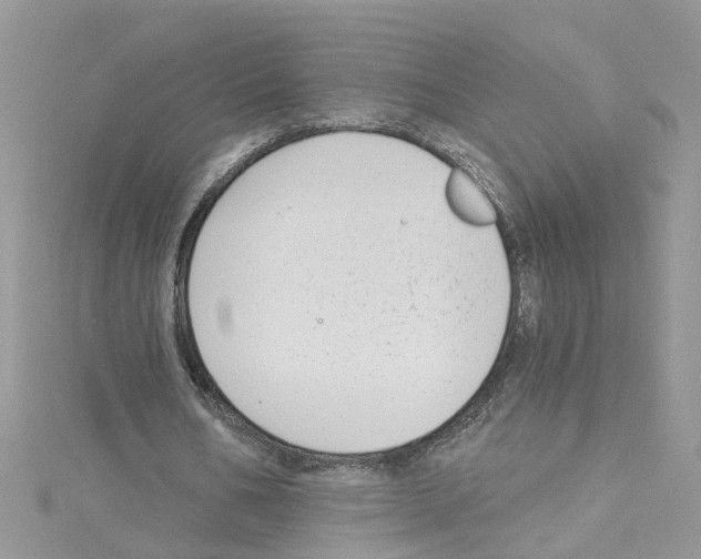 X0000114080578200911161018