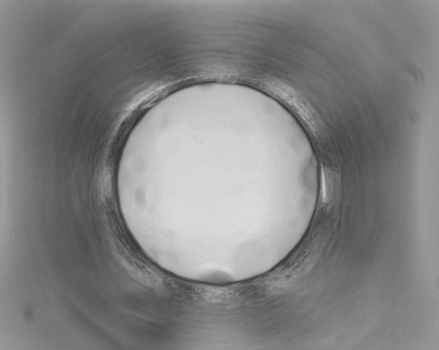 X0000114080579200911161018