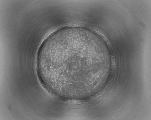 X0000114080582200911161018