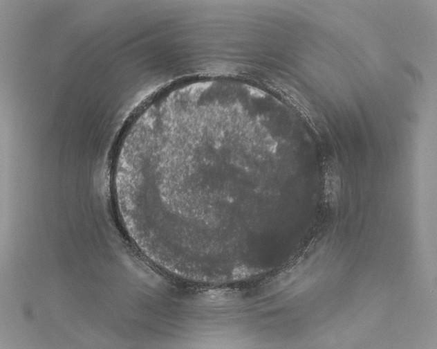 X0000114080584200911161017