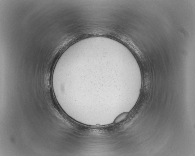 X0000114080585200911161017