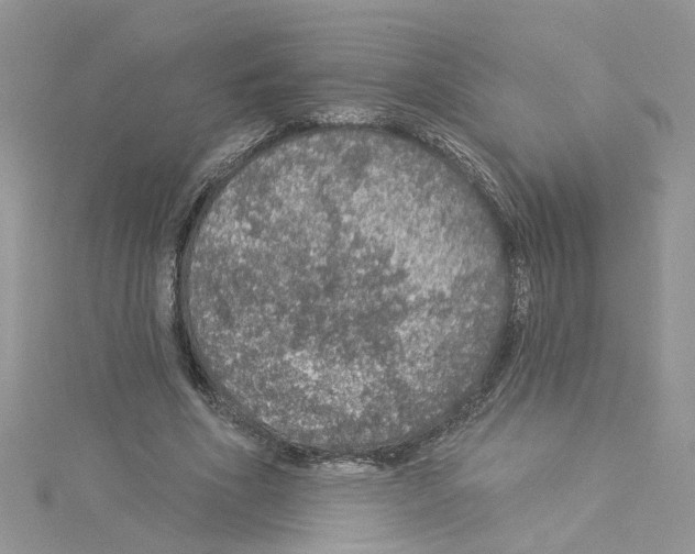 X0000114080586200911161017