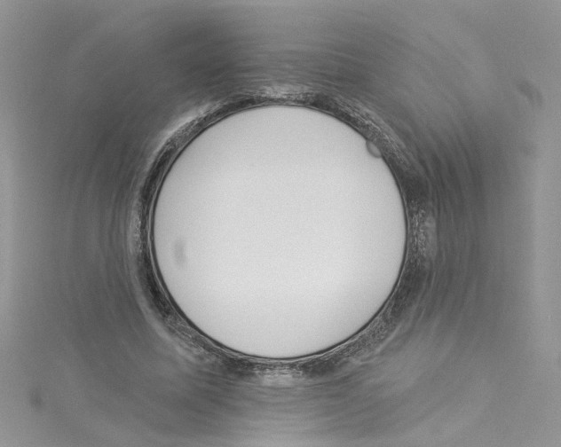 X0000114080587200911161017