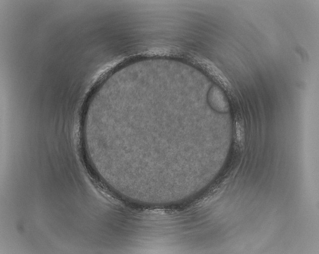 X0000114080588200911161017