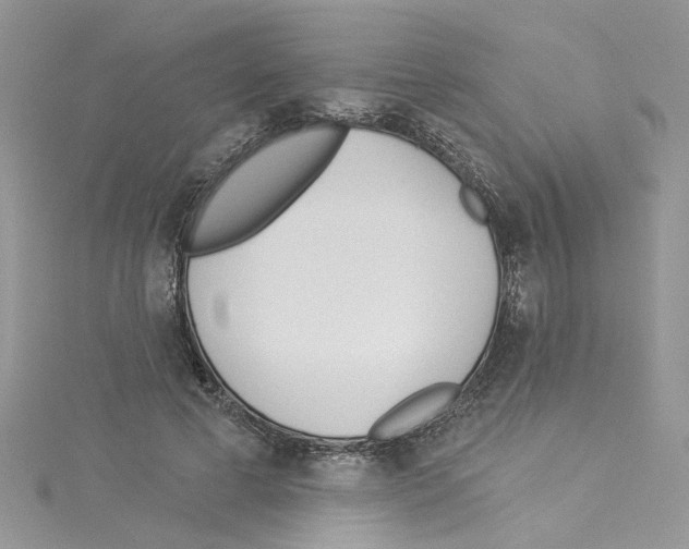 X0000114080593200911161017