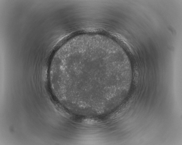 X0000114080596200911161017