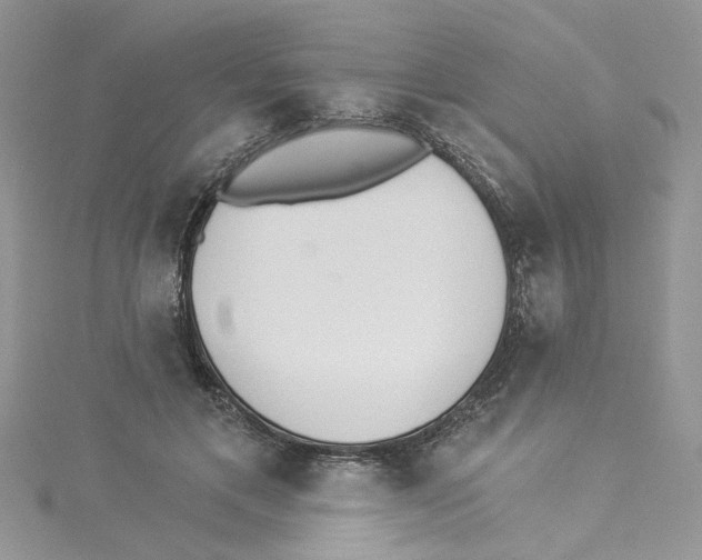 X0000114080597200911161017