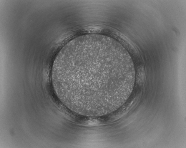 X0000114080604200911161017