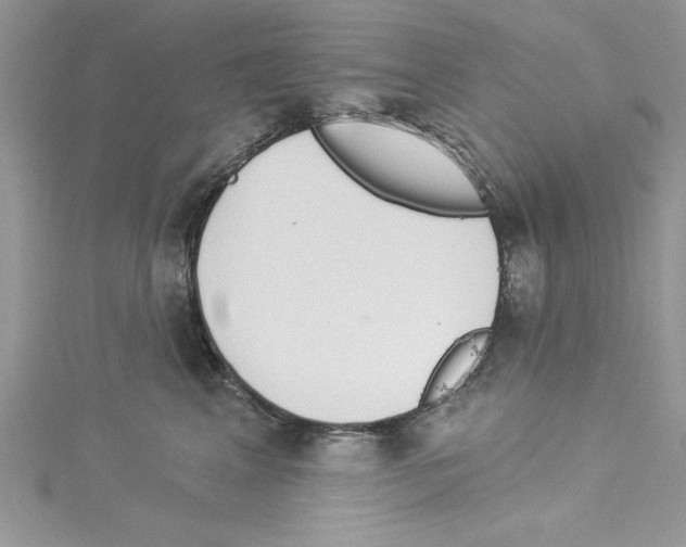 X0000114080617200911161017