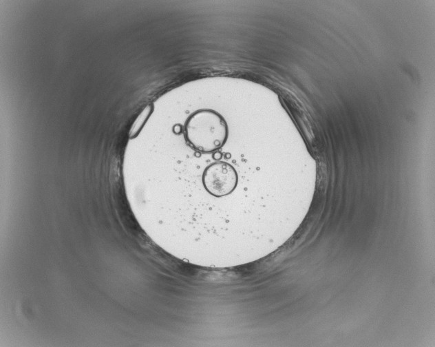 X0000114080621200911161017