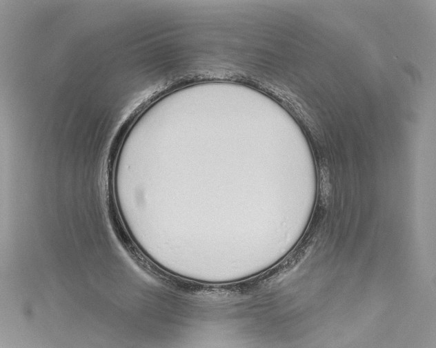 X0000114080630200911161016