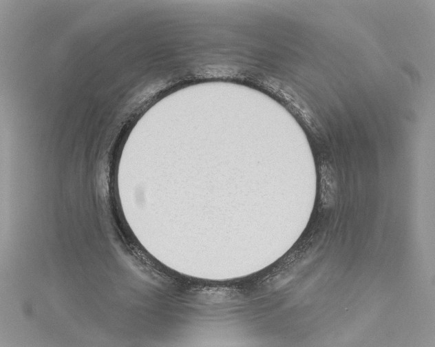 X0000114080631200911161016