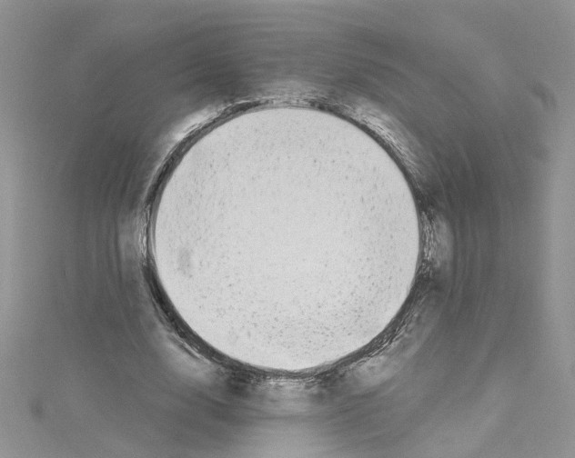 X0000114080632200911161016