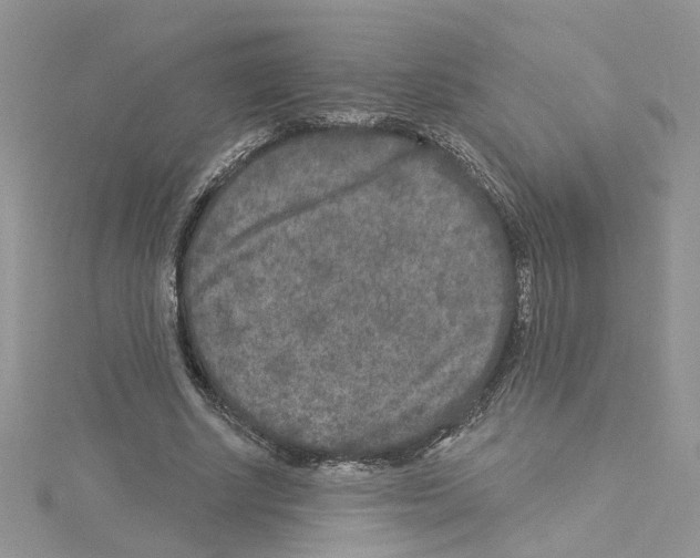 X0000114080634200911161016