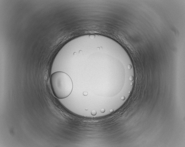 X0000114080639200911161016