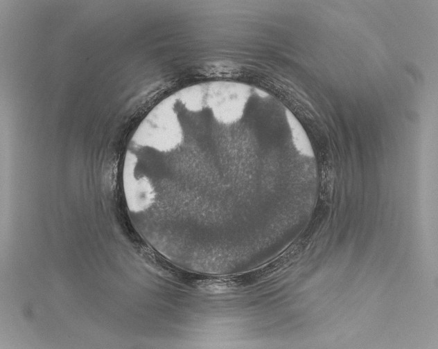 X0000114080652200911161017