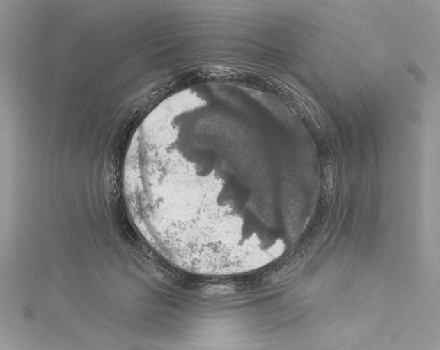 X0000114080653200911161017