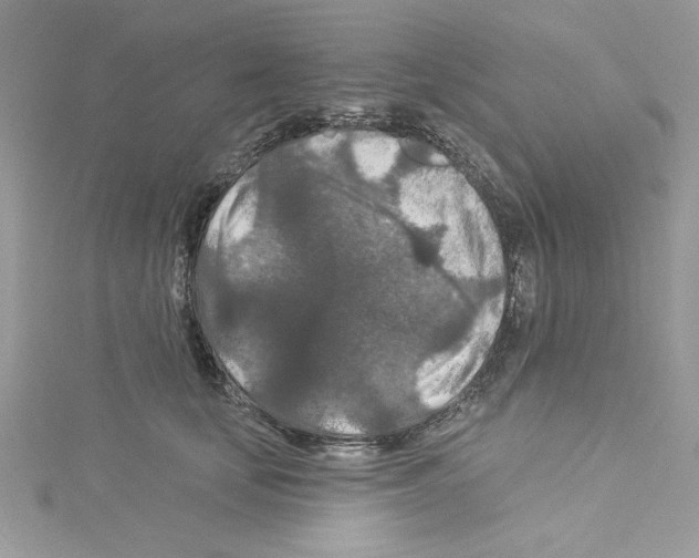 X0000114080659200911161017