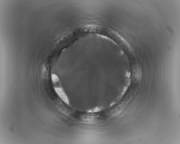 X0000114080661200911161017