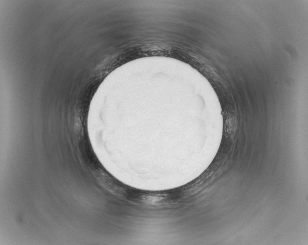 X0000114080662200911161017