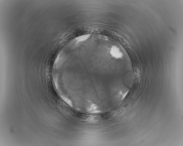 X0000114080663200911161017