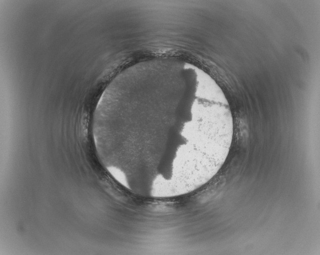 X0000114080664200911161017