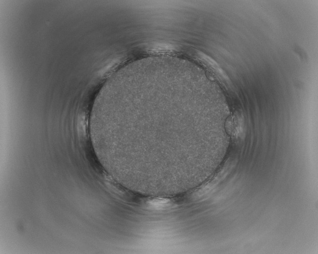 X0000114080669200911161017