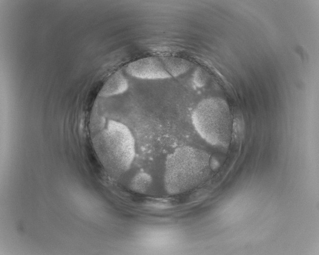 X0000114080671200911161017