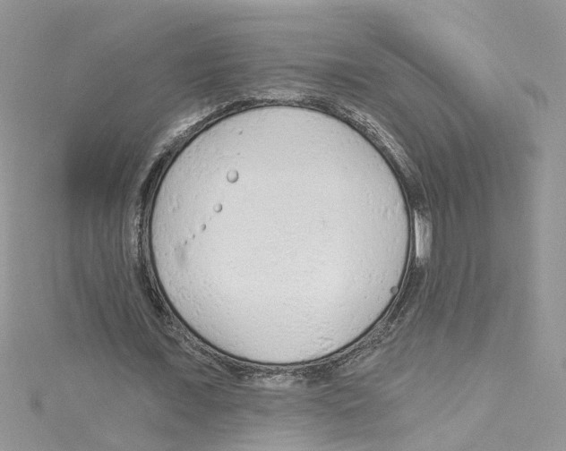 X0000114080675200911161016