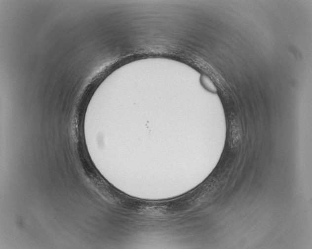 X0000114080680200911161016