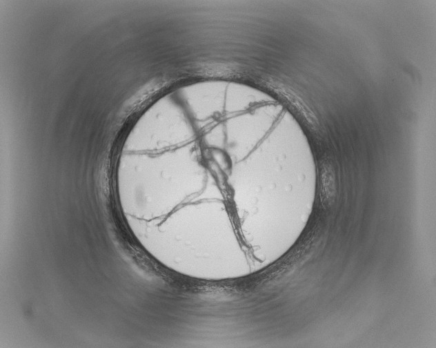 X0000114080682200911161016