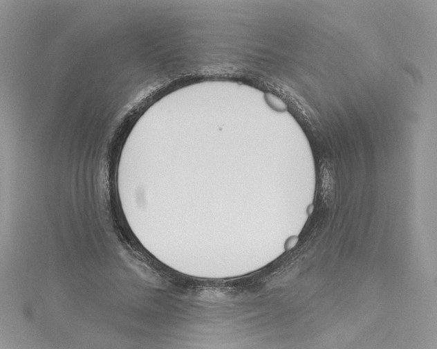 X0000114080684200911161016