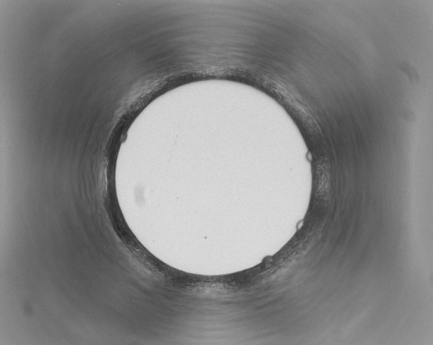 X0000114080685200911161016