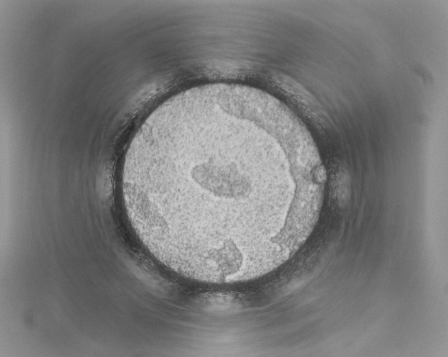 X0000114080687200911161016