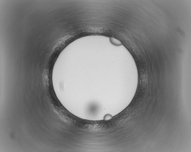 X0000114080688200911161016