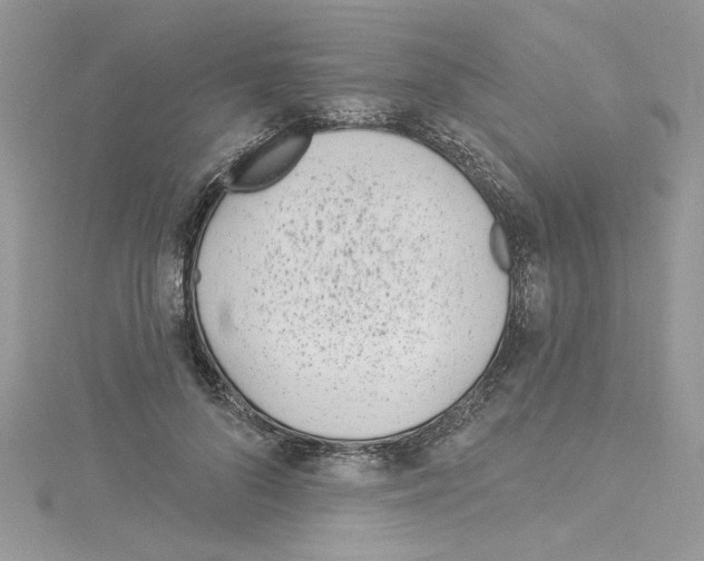 X0000114080696200911161016