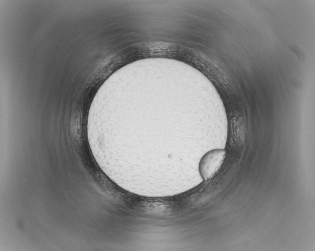 X0000114080698200911161016