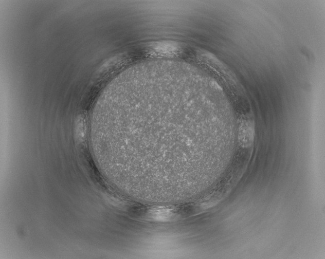 X0000114080701200911161016